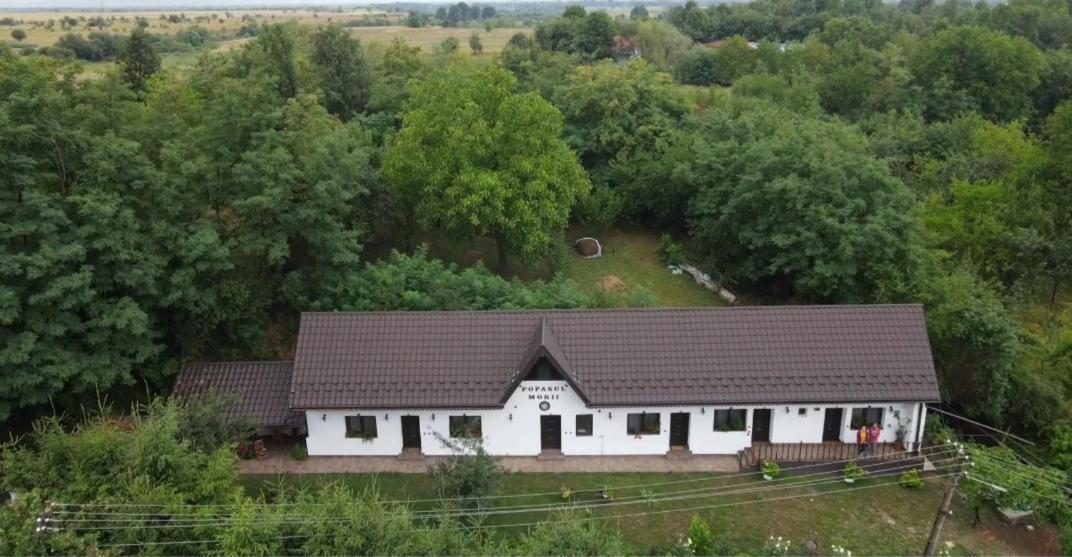 Casa Morii Ohaba Villa Exteriör bild