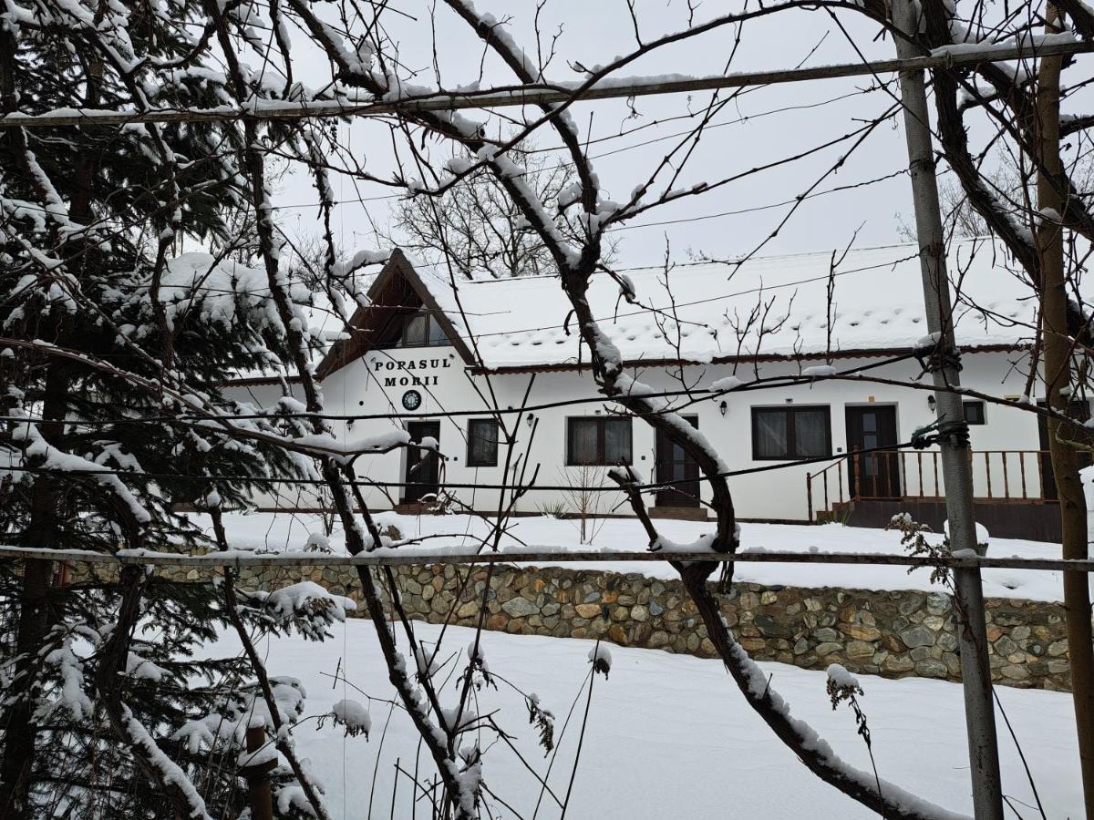 Casa Morii Ohaba Villa Exteriör bild